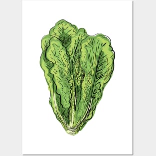 Roamine Lettuce Posters and Art